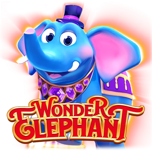 wonder elephant