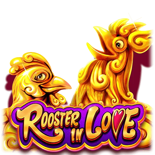 rooster love