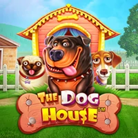 the dog house